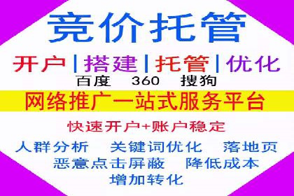 竞价SEM托管服务：成功案例揭秘